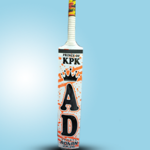 Kashmir Willow Full size cricket bat (Size SH)